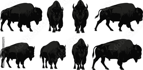 Collection of American bison silhouettes, wild buffalo bulls standing and walking in front and side views, black vector illustration isolated on white background