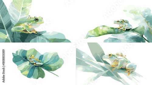 A serene watercolor illustration of a green tree frog resting on tropical leaves with soft botanical textures. Elegant nature artwork ideal for wildlife themes and natural design projects.