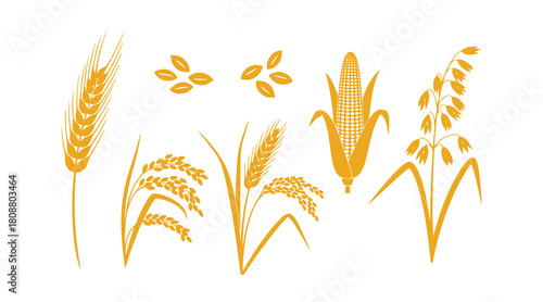 Golden illustration of grain ears used as an agriculture symbol.