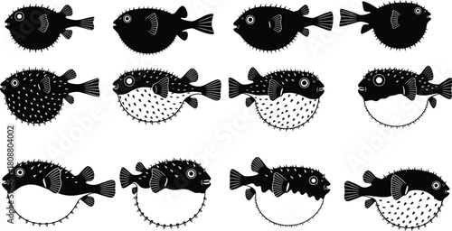 Collection of spiky pufferfish silhouettes, cute blowfish characters in black and white, marine life vector illustration set isolated on white background for design