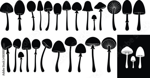 Set of black vector mushroom silhouettes, wild forest fungi icons, nature toadstools collection, botanical design elements, isolated on white background, graphic illustration style