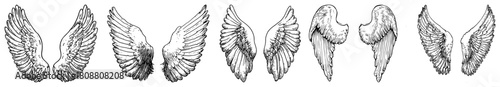Angel Wings Set Vintage Feathered Wing Hand Drawn Vector Collection