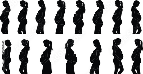 Set of pregnant woman silhouettes, expecting mothers holding baby bump in side view, black vector illustration collection isolated on white background