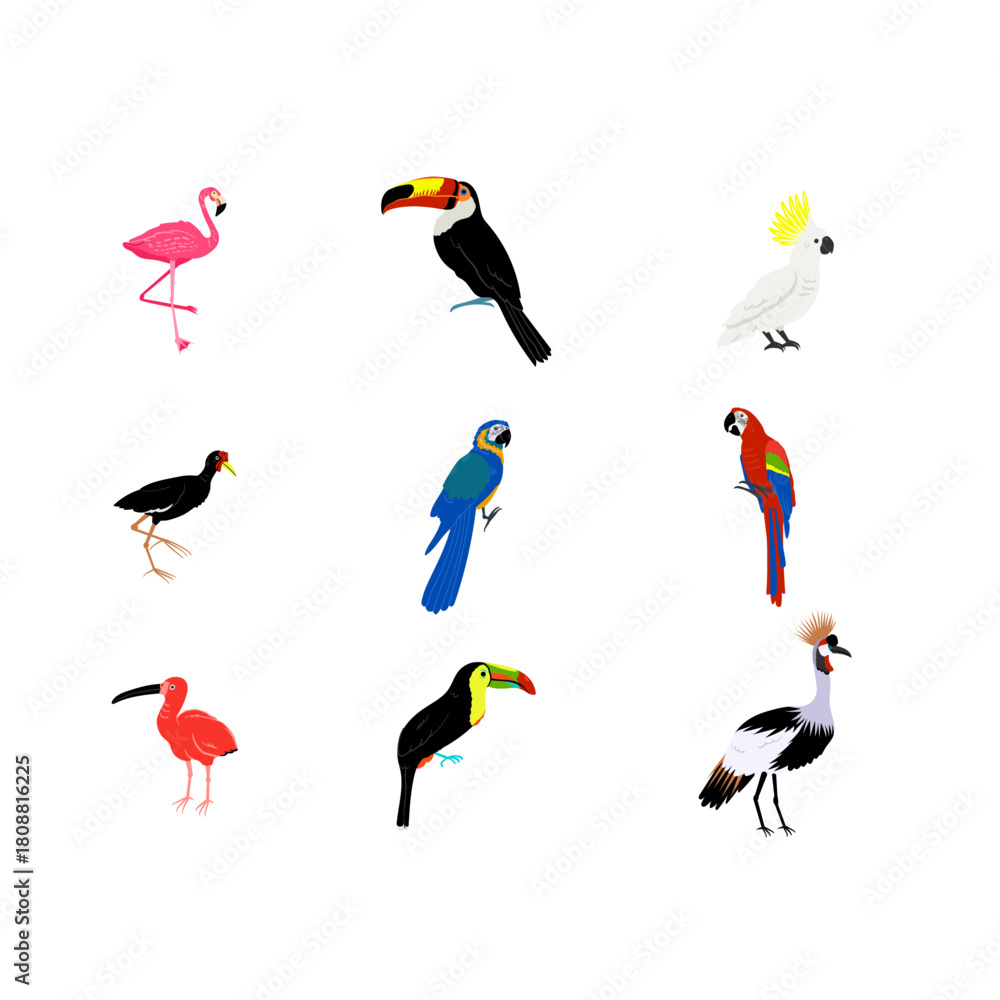 Naklejka premium Tropical Jungle Bird Illustration