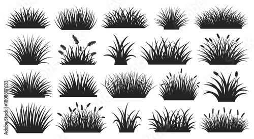 Black silhouettes of diverse grass clumps and plants with different shapes and textures, suitable for design projects and botanical illustrations.