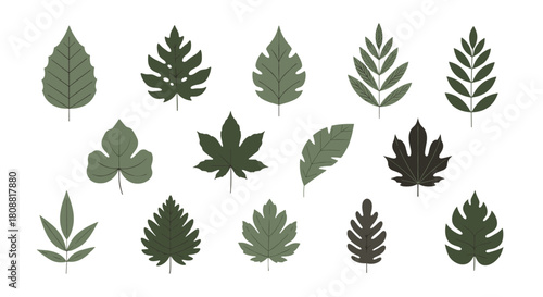 A diverse collection of stylized green leaves featuring various shapes and patterns, perfect for botanical and nature-themed design elements.
