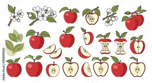 A collection of red apple illustrations depicting whole fruits, slices, blossoms, and cores, ideal for educational or design projects.