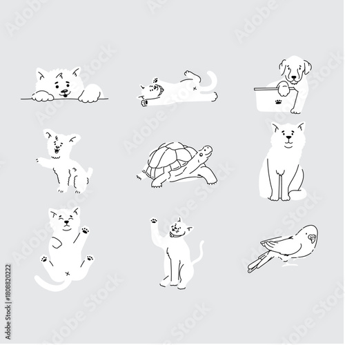 Simple Line Pets Illustration