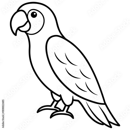 vector illustration of a bird