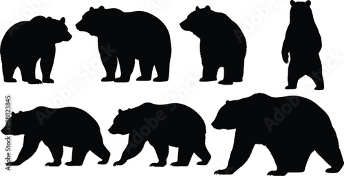 Bear silhouette collection of various poses on white background