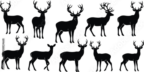 deer silhouette collection