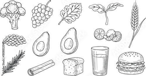 Hand-drawn outline vector collection featuring vegetables, fruits, spices, bread, drinks and assorted food ingredients in a clean illustration pack