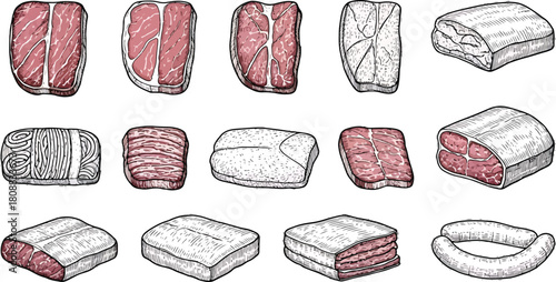 Hand-drawn raw meat illustration set featuring beef cuts, pork belly slices, layered meat blocks and sausage in detailed vector style