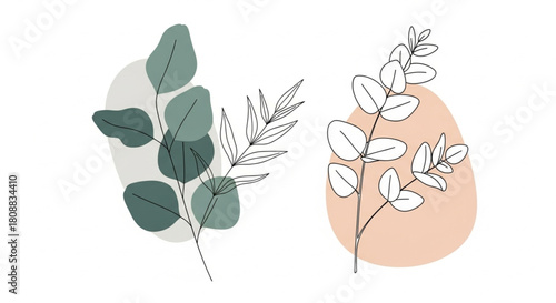 Elegant botanical line art with soft pastel shapes makes a stunning minimalist design for your next project, offering a touch of natural beauty now