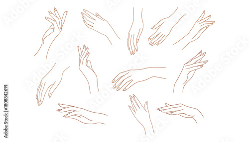 Collection of elegant female hands with manicured nails in various graceful poses line art woman