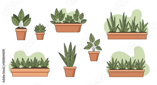 A delightful assortment of potted plants and window boxes creates a serene indoor garden aesthetic, showcasing the beauty of nature in simple, earthy tones.