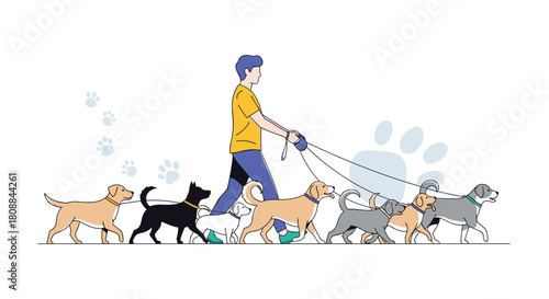 A young man walks a group of six dogs on leashes, showcasing a professional dog walking service or pet care concept, with paw print accents.