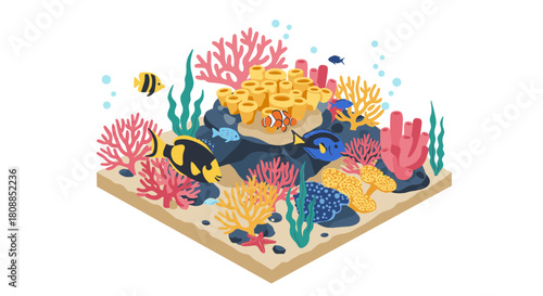 Vibrant isometric coral reef scene with colorful marine life and diverse ocean habitat