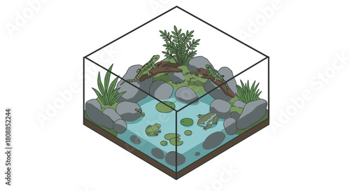 Isometric frog habitat with natural rocks and vegetation in a glass terrarium
