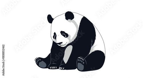 A charming illustration of a seated panda bear with a gentle expression, showcasing its iconic black and white markings and fluffy texture.
