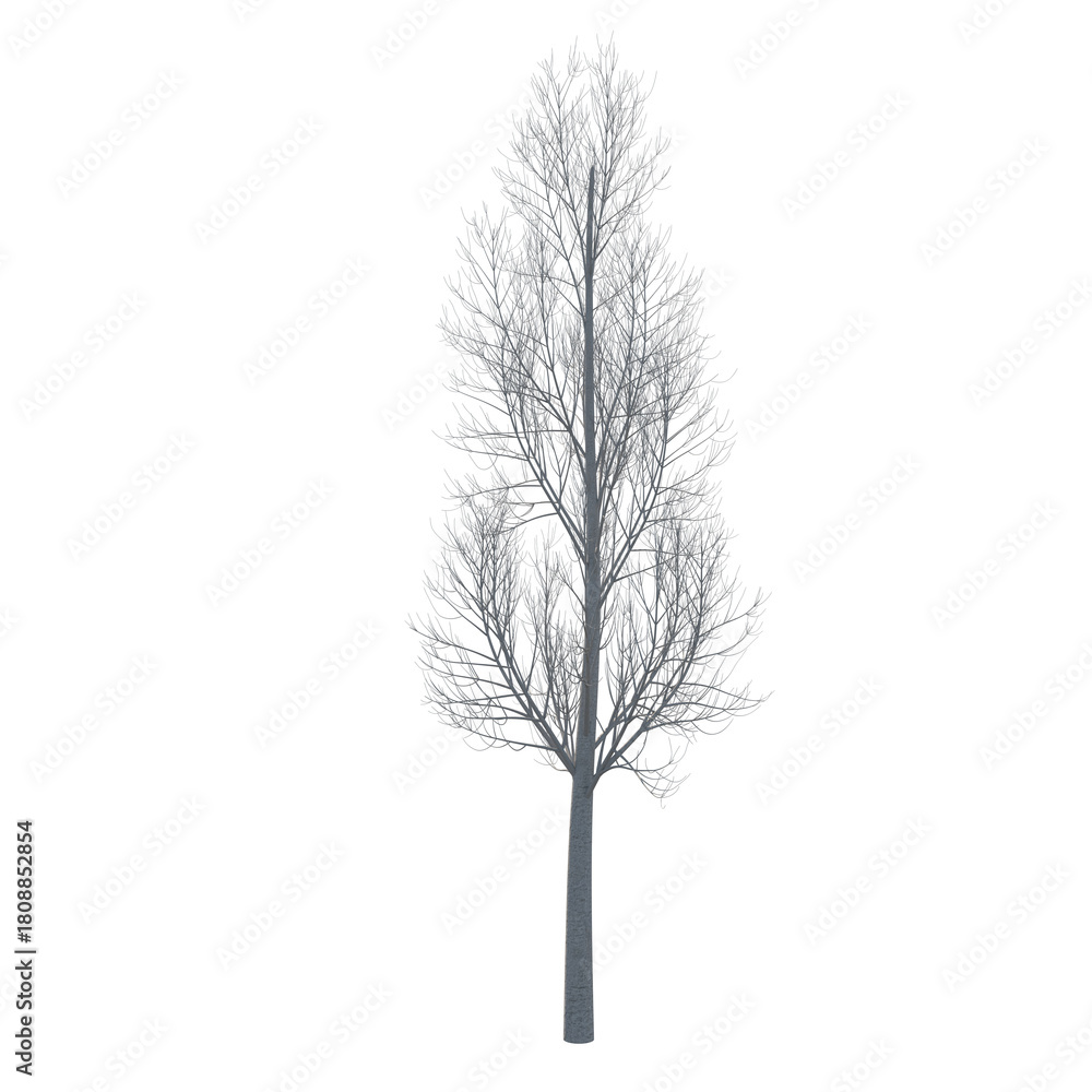Fototapeta premium Tree bare isolated transparent background 3d rendering PNG 16 bit 
