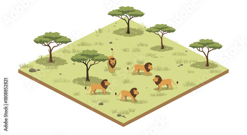 Isometric savannah scene with roaming lions and acacia trees