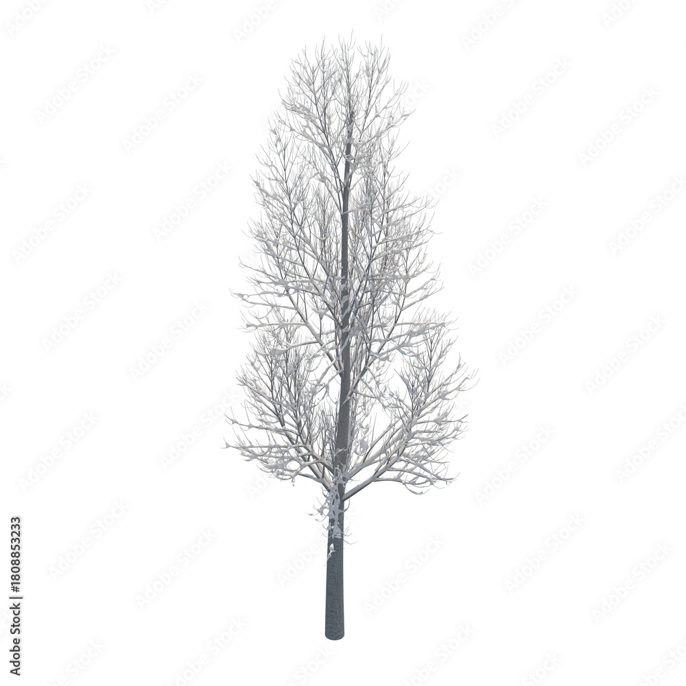 Fototapeta premium Tree snow covered isolated transparent background 3d rendering PNG 16 bit