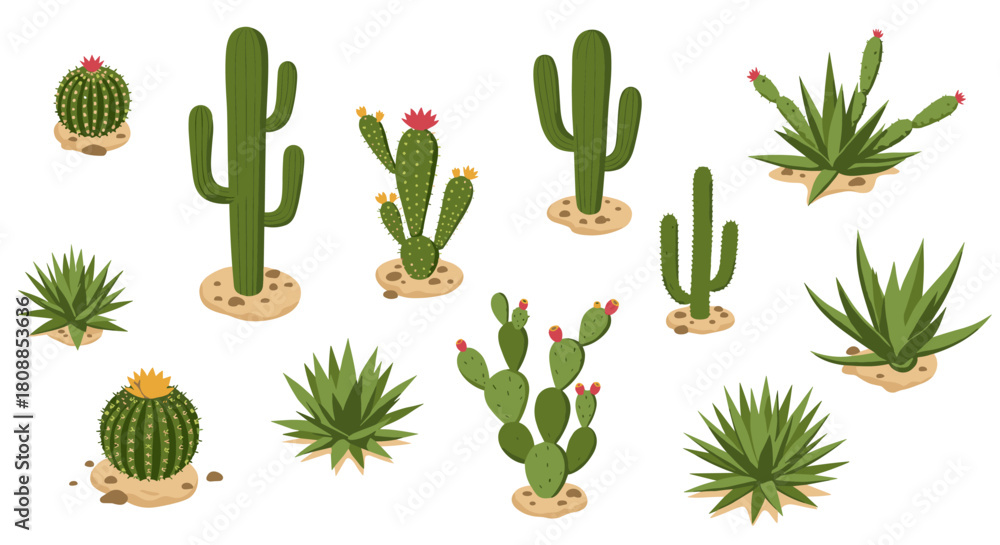 Fototapeta premium Assorted cacti and succulents: vibrant flat art on white background for nature designs