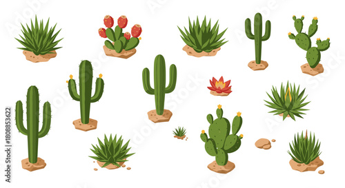 Desert plant collection: flat style cactus and succulent set