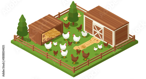 Isometric farm scene with chickens and barnyard structures in green pasture setting