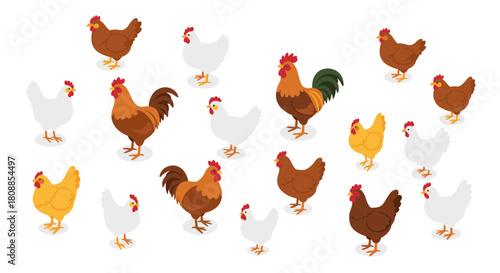 Colorful isometric farm chickens and roosters on white background