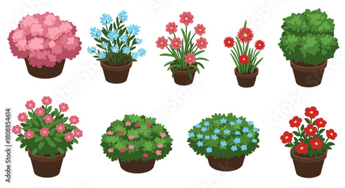 Collection of vibrant potted flowers in bloom: garden decor and nature aesthetics