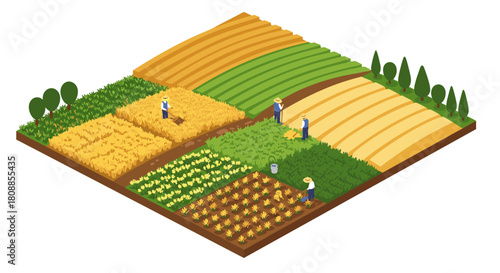 Isometric farm landscape with farmers cultivating crops in different fields