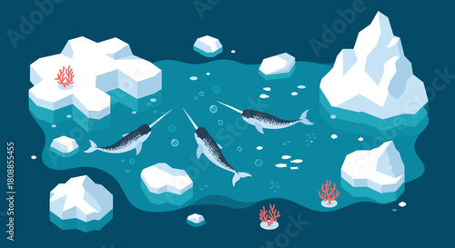 Isometric arctic landscape with narwhals swimming among icebergs and coral