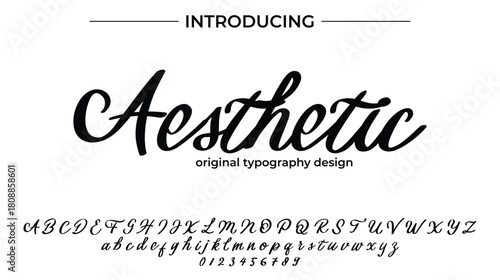 Aesthetic - Elegant Script Font for Smooth Handwritten Design and Creative Typography