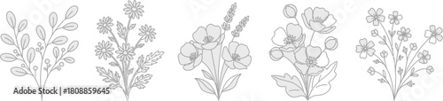 Botanical line art collection delicate floral bouquets and sprigs illustration