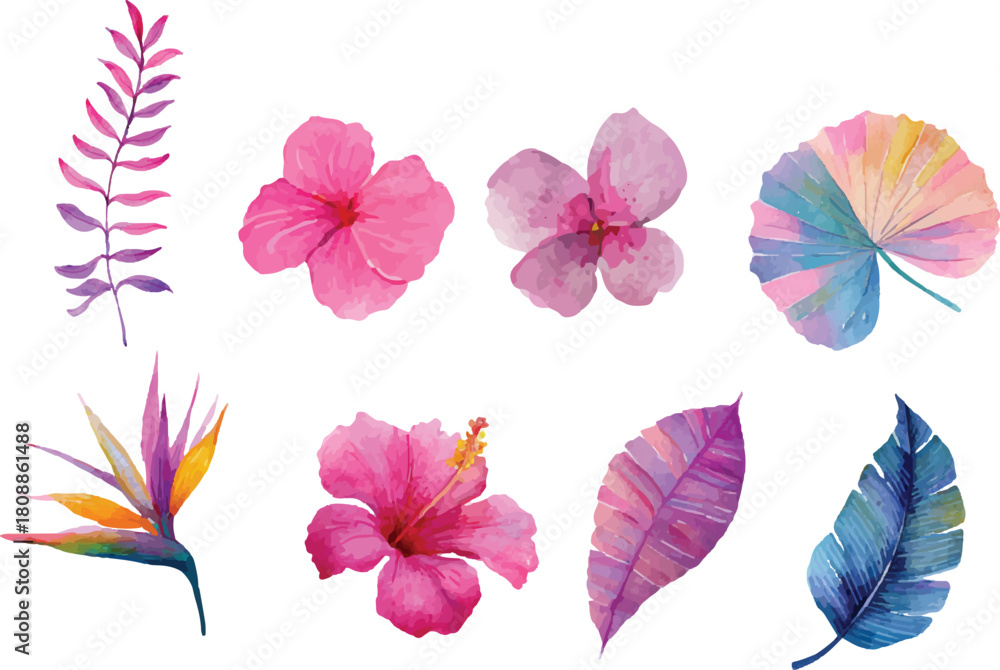 Fototapeta premium vector set of colorful leaves and hibiscus flower