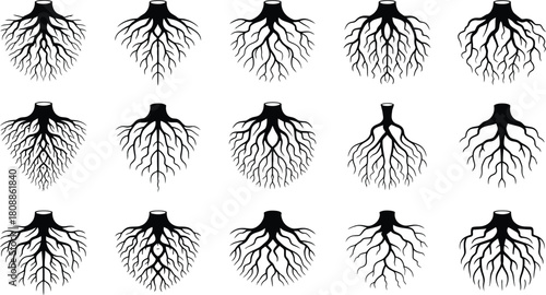 Tree Roots Icon Set, Vector Root System Silhouettes Collection