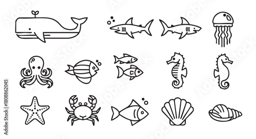 Collection of Marine Animals Illustration Vector Art Line Drawing Style