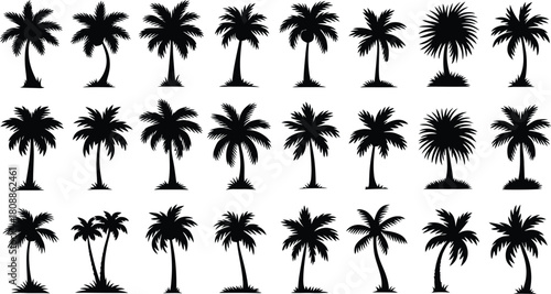 Palm Tree Silhouette Set, Tropical Beach Coconut Tree Vector Collection