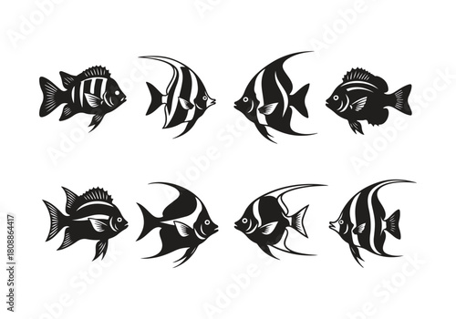 Collection of eight black and white tropical fish isolated on