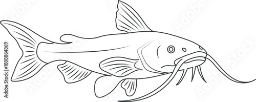 Catfish line art vector.