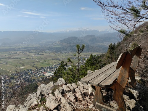 view from the top of the hill