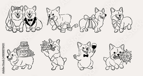 Hand Drawn Corgi Wedding, Whimsical Dog Bride & Groom Illustration