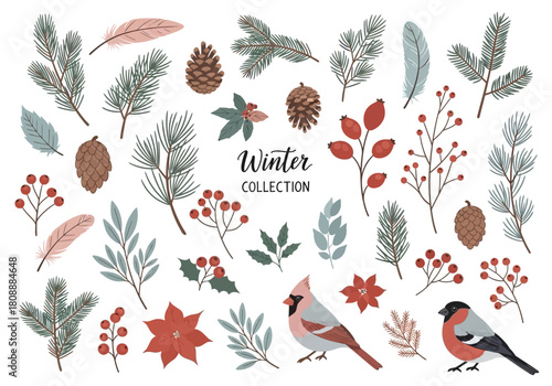 Cozy Winter Botanical Vector Collection - Holiday Foliage, Berries & Birds Christmas Graphics