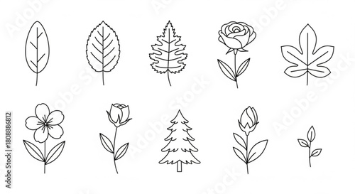 Line art botanical illustration of flower and leaf drawings nature vector design elements for graphic design use