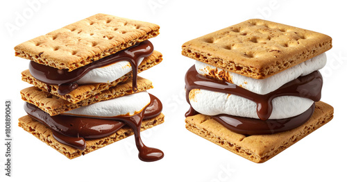 Two delicious smore dessert snacks with melted chocolate and marshmallow on graham crackers. sweet, indulgent isolated food object