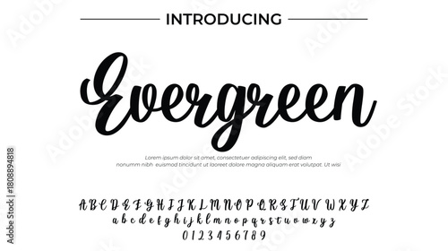 Evergreen - Elegant Script Font for Smooth Handwritten Design and Creative Typography