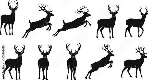“Collection of detailed deer silhouettes featuring standing and jumping poses, wildlife vector illustration set for nature, forest, and outdoor design projects”