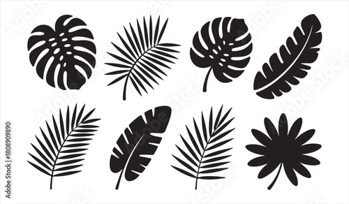 Exotic Plant Leaf Vector Collection for Nature Graphics and Decorative Designs